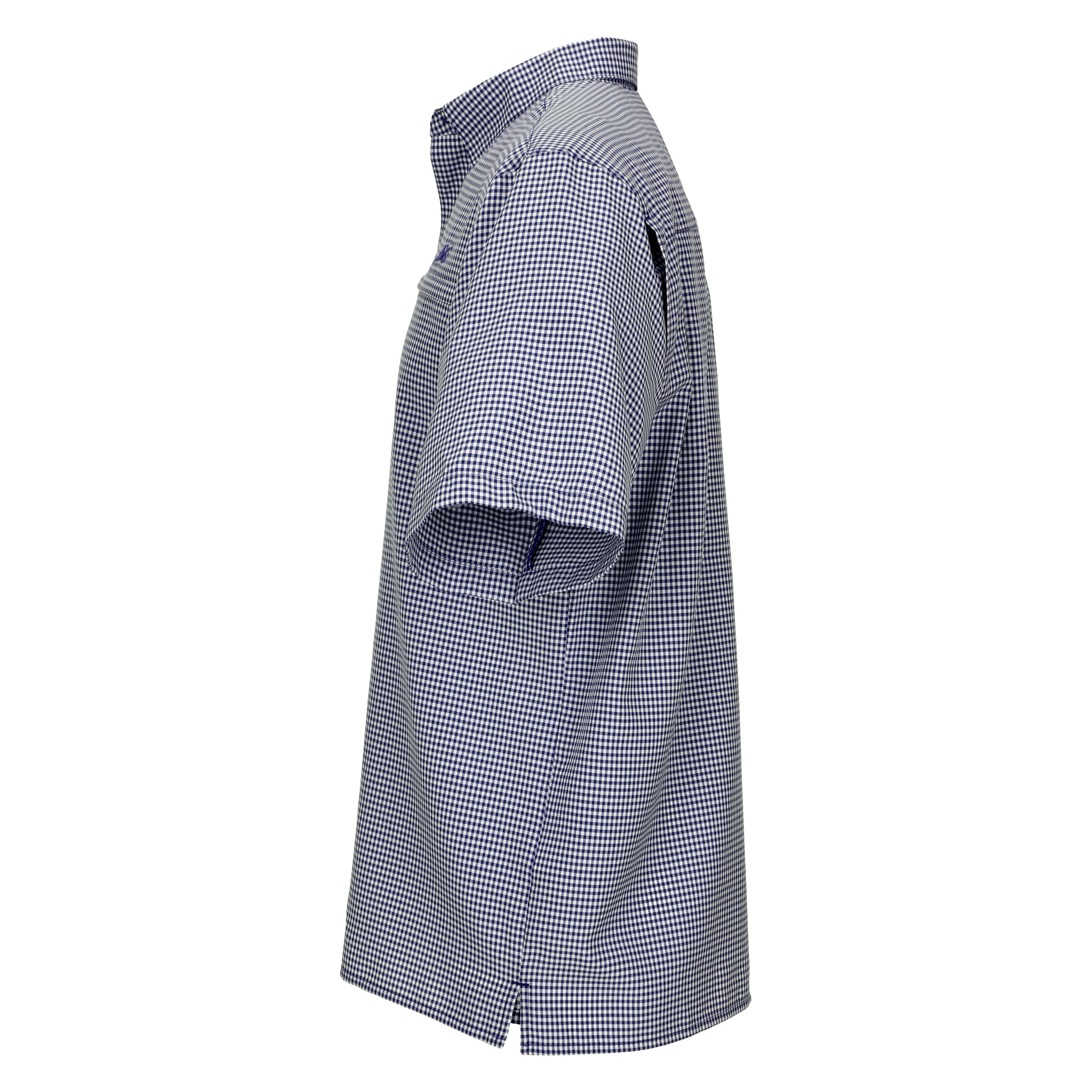 Blue and white checkered dress on a white background