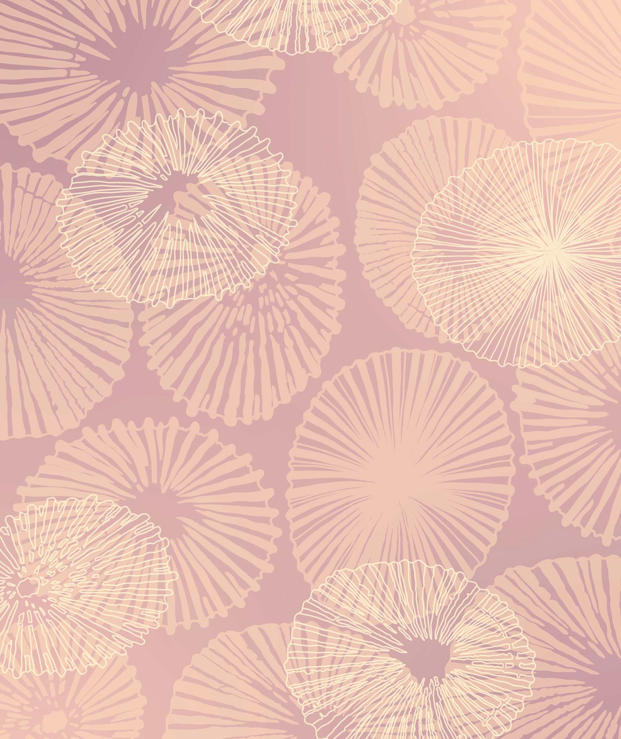 Pattern of circular shapes on a pink background