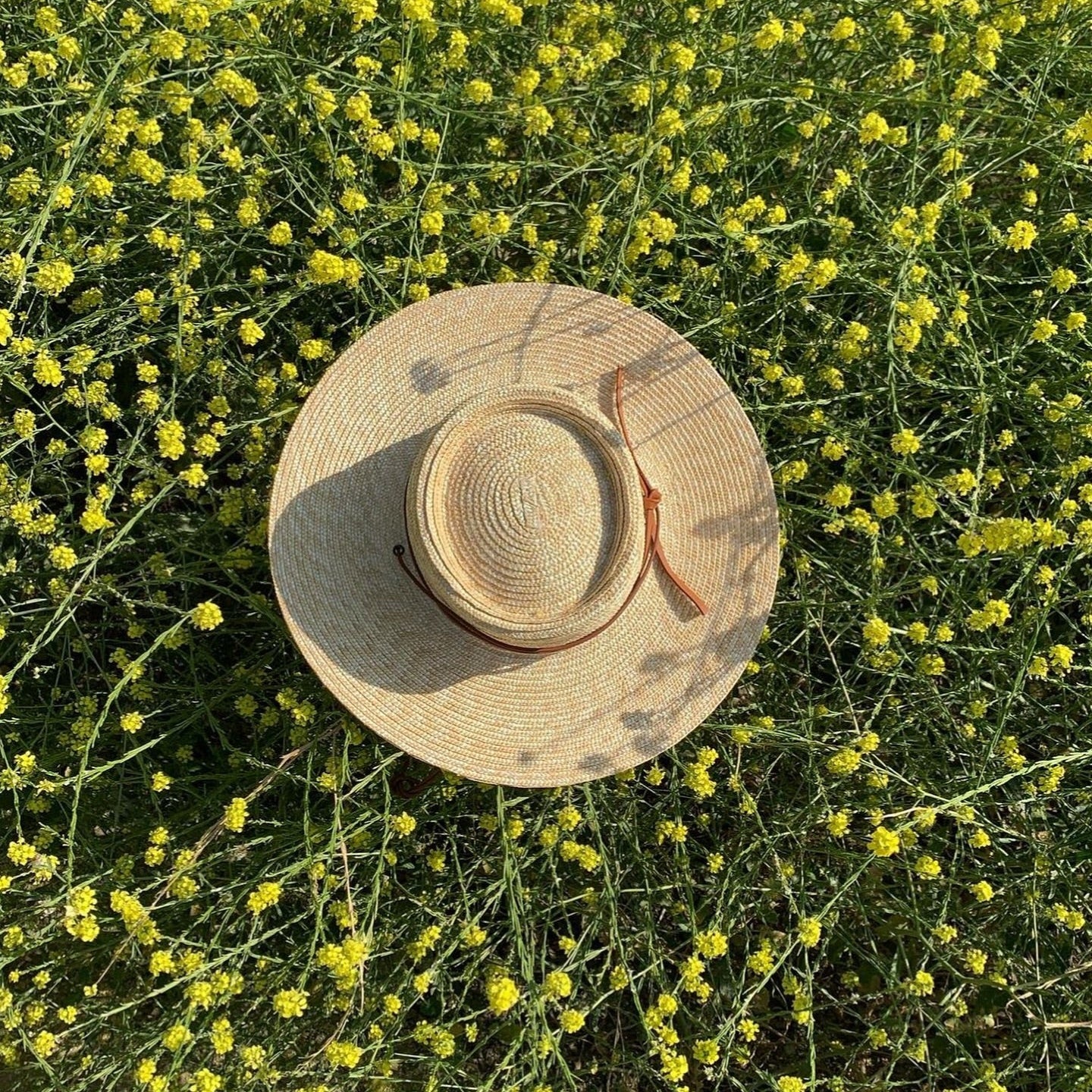 Straw hat on a field of yellow flowers