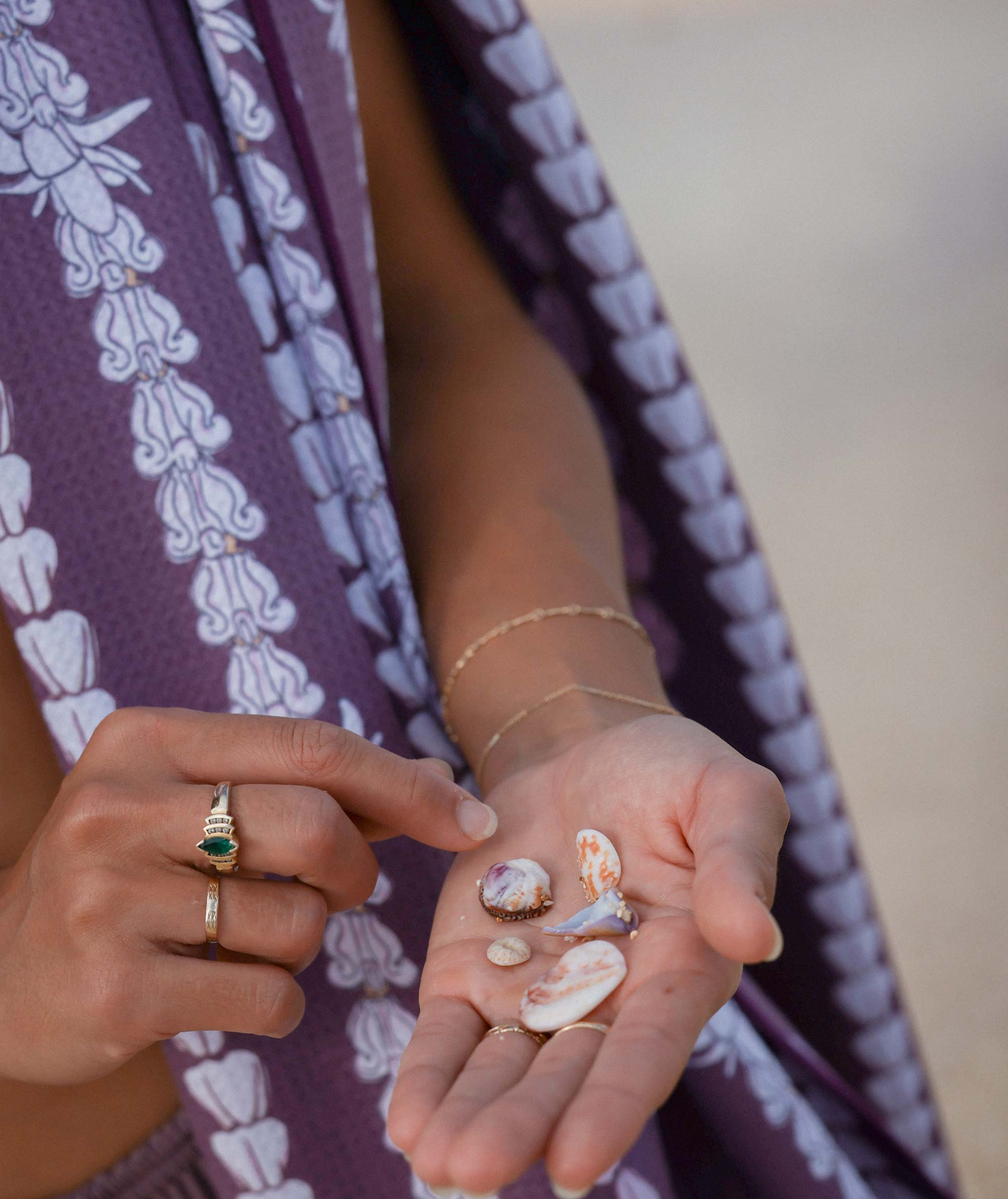 Person holding small seashells in their hands with a blurred background
