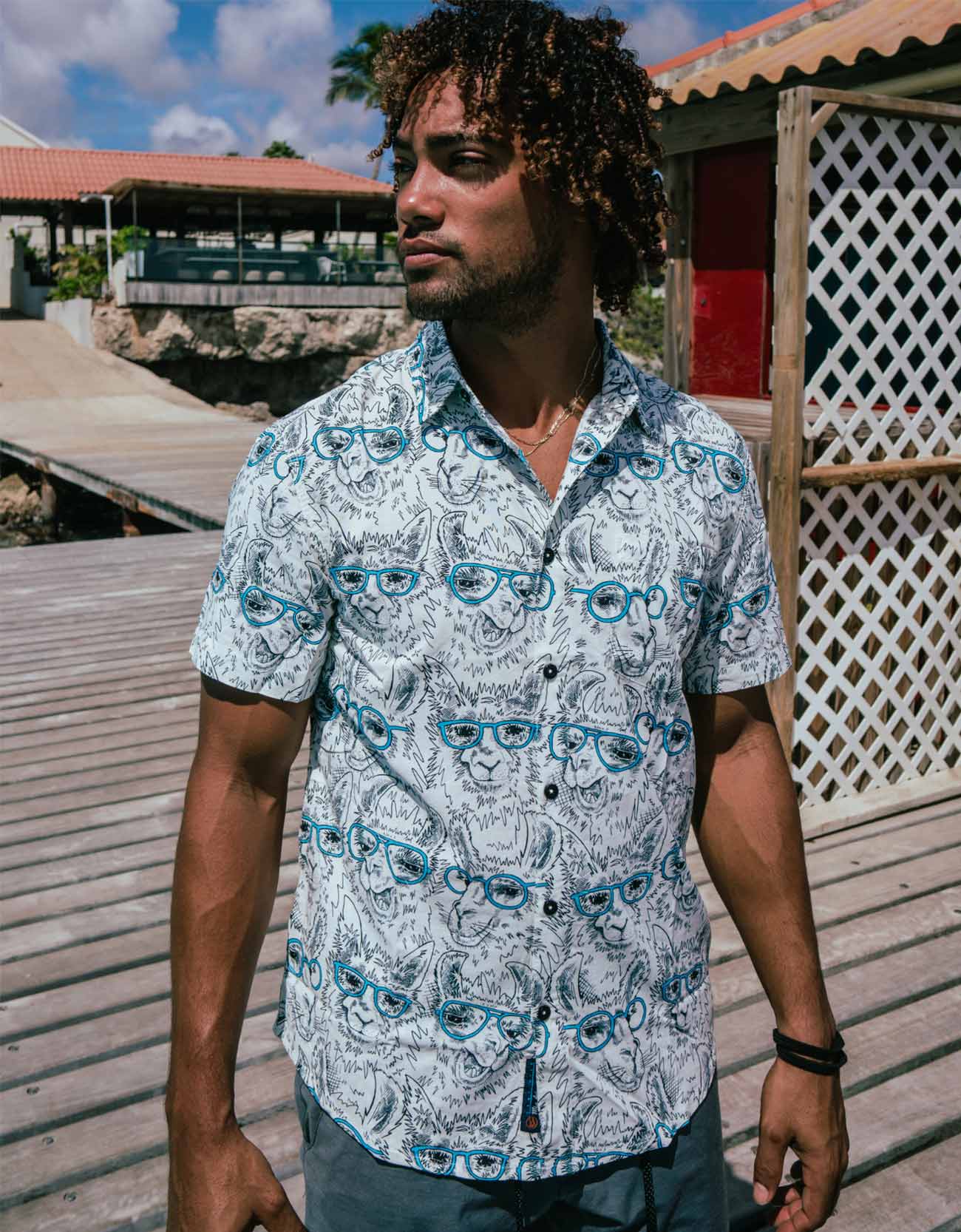 Llama MD Seven Seas Button Up
